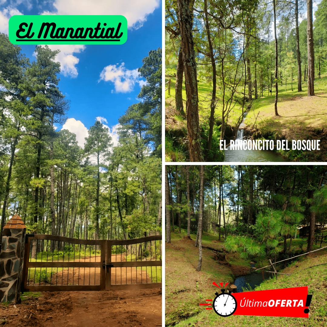 el-rinconcito-del-bosque-tapalpa