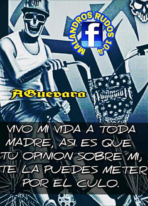 Malandros rudos 10-4