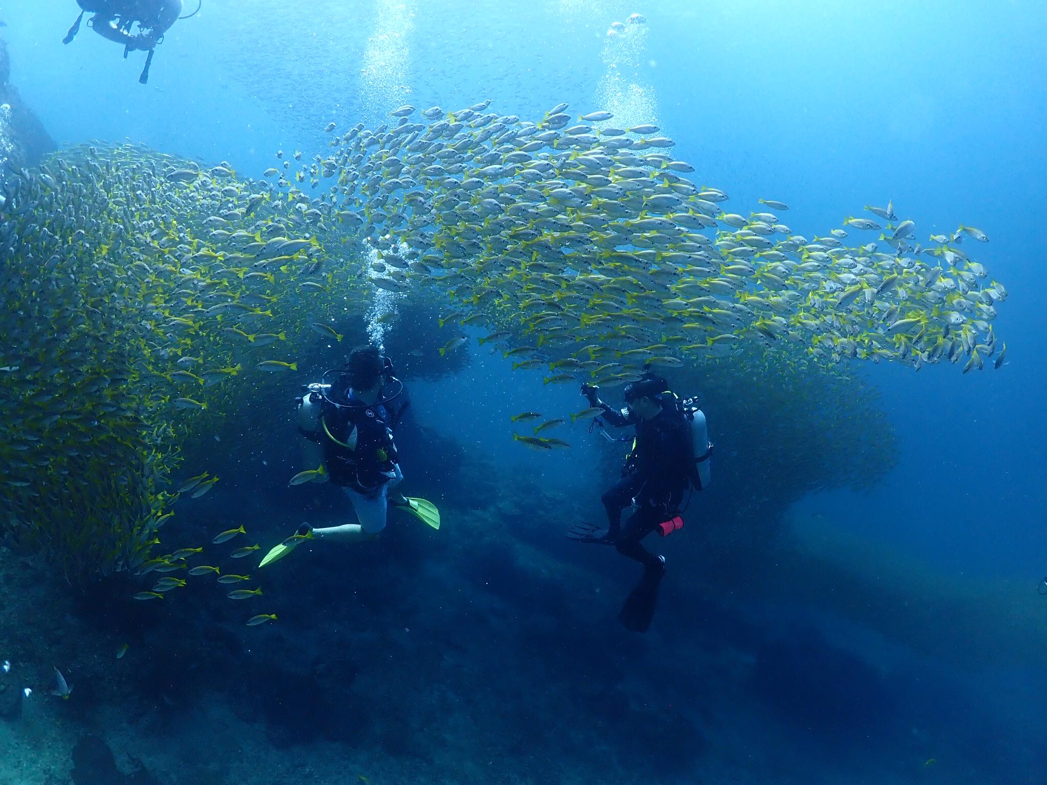 Dive Ranger... - Dive Ranger สอนดำน้ำ ทริปดำน้ำ กระบี่