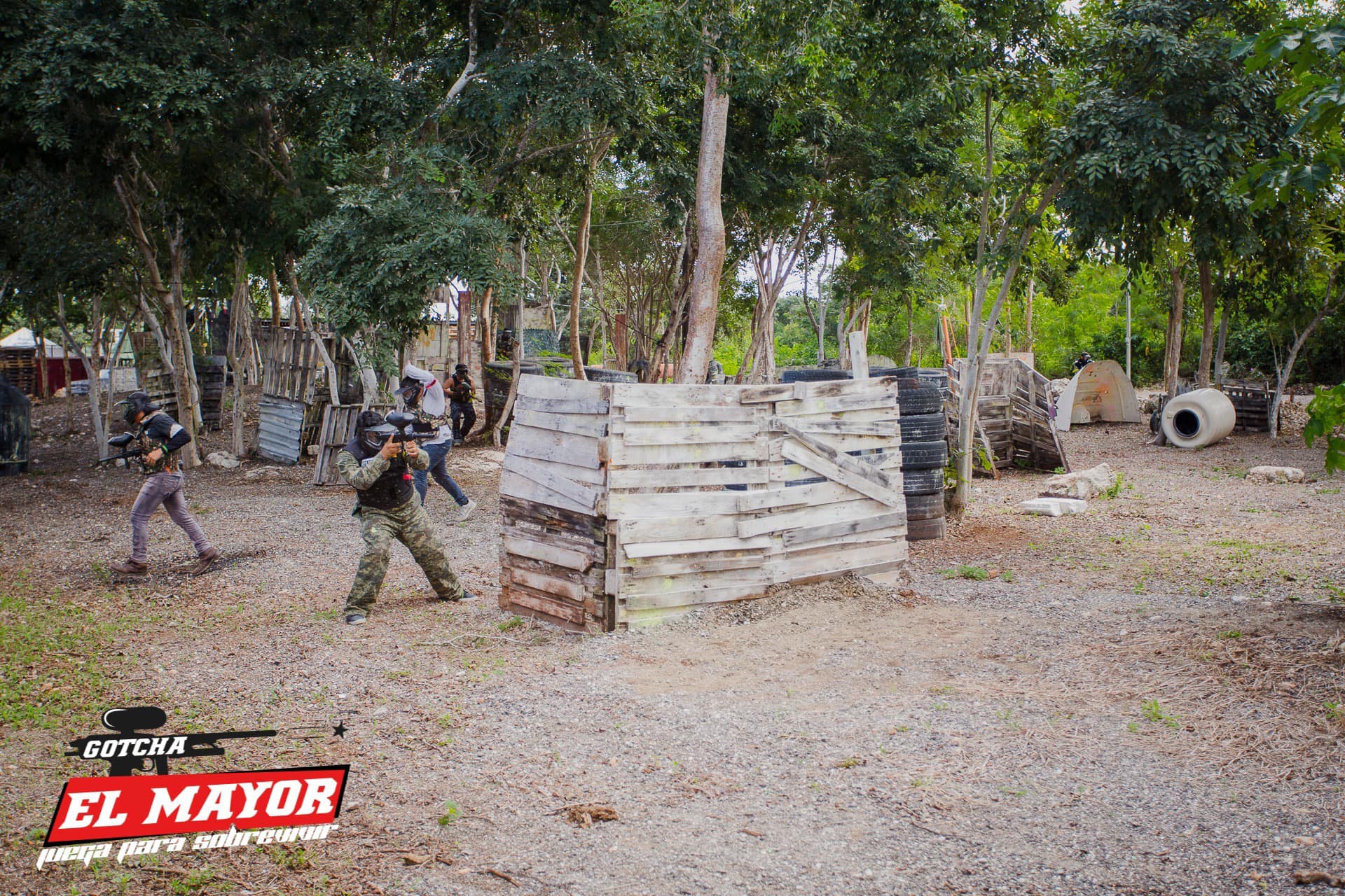 Gotcha El Mayor - ¡Dicen que el centro de Mérida es como una jungla de ...