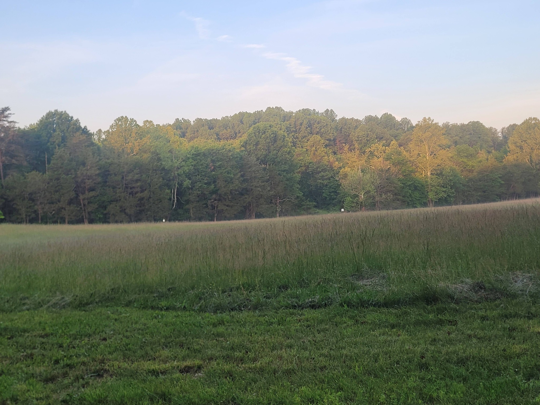 Who can hay 5-acre field in Casanova area?