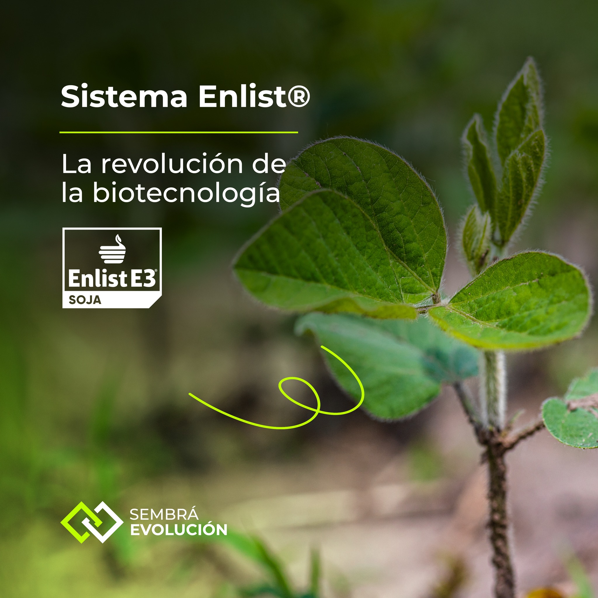 El Sistema Enlist maximiza el... - Sembrá Evolución
