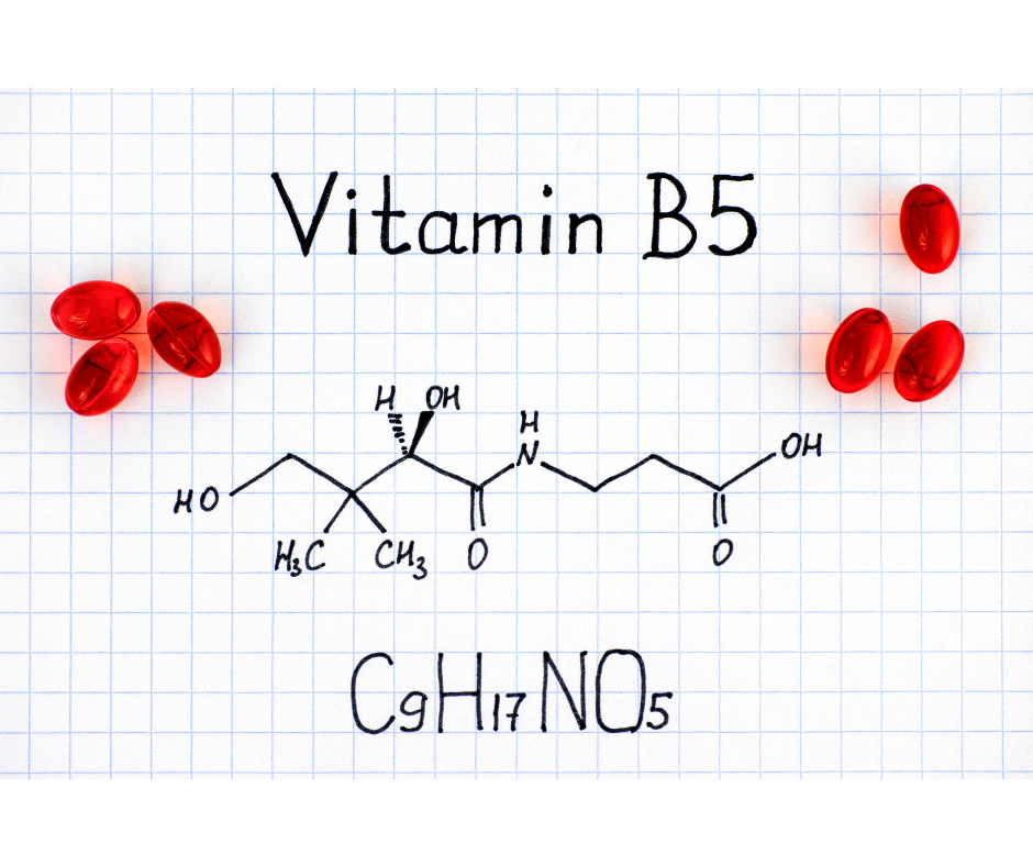 l-carnitine acne b5 Calling all clinicians and women who are struggling with your skin. What has been your experience with high-dose vitamin (pantothenic acid) for acne? . The treatment idea has been around for Stil:Pulver l carnitine leading to en_trans