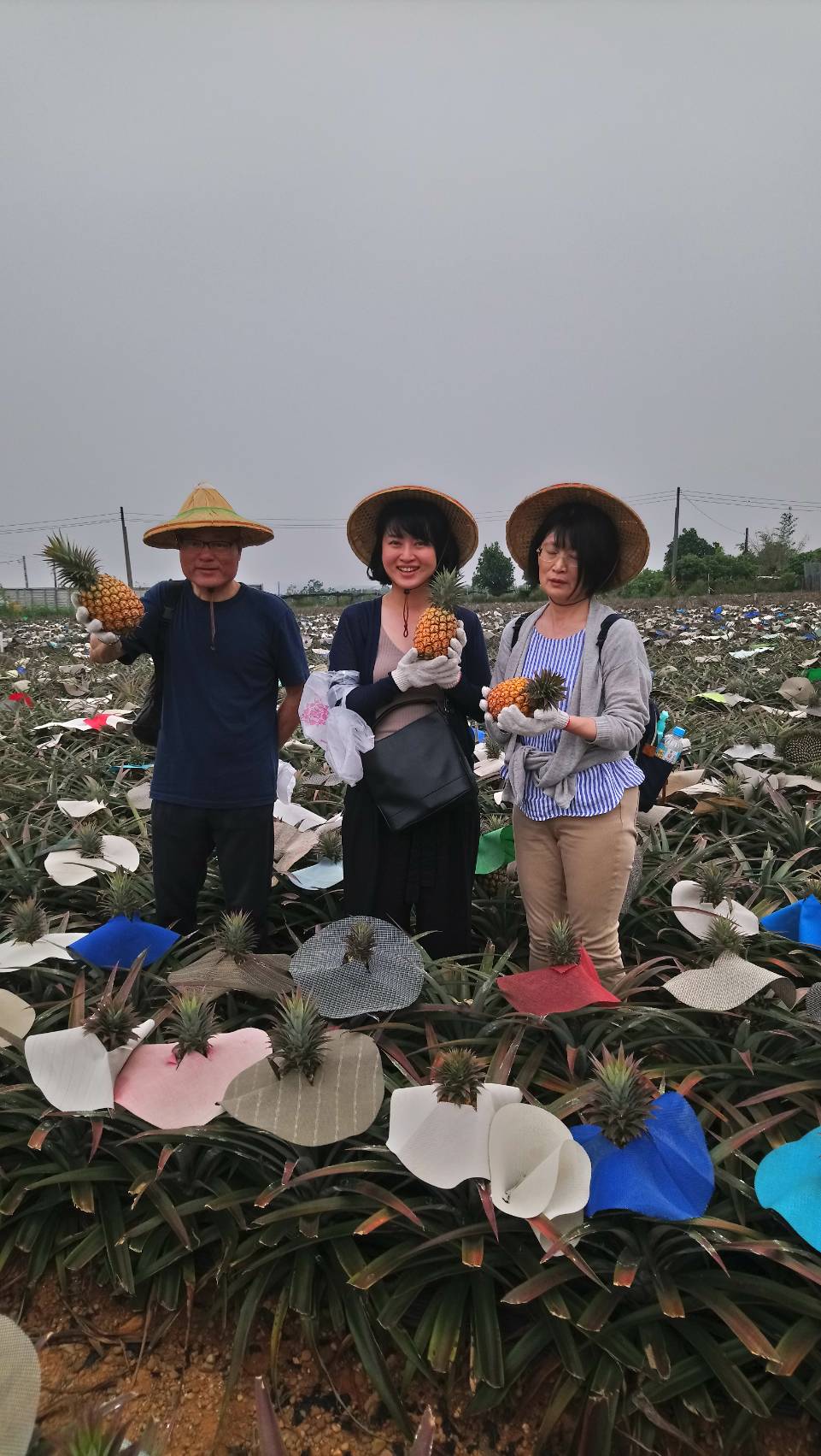 龍目好好玩 - 🌎[有朋自遠方來~不亦樂乎😊 ] 來自日本的朋友 🌎 歡迎~日本~自由行旅客前來🍍龍目社區🍍... | Facebook