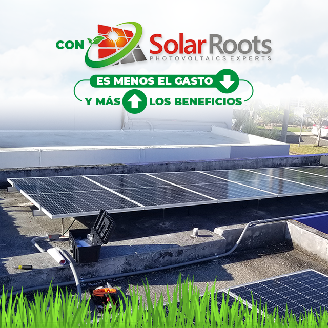 ¿Conoces todos los beneficios de las... - Solar Roots, LLC | Facebook