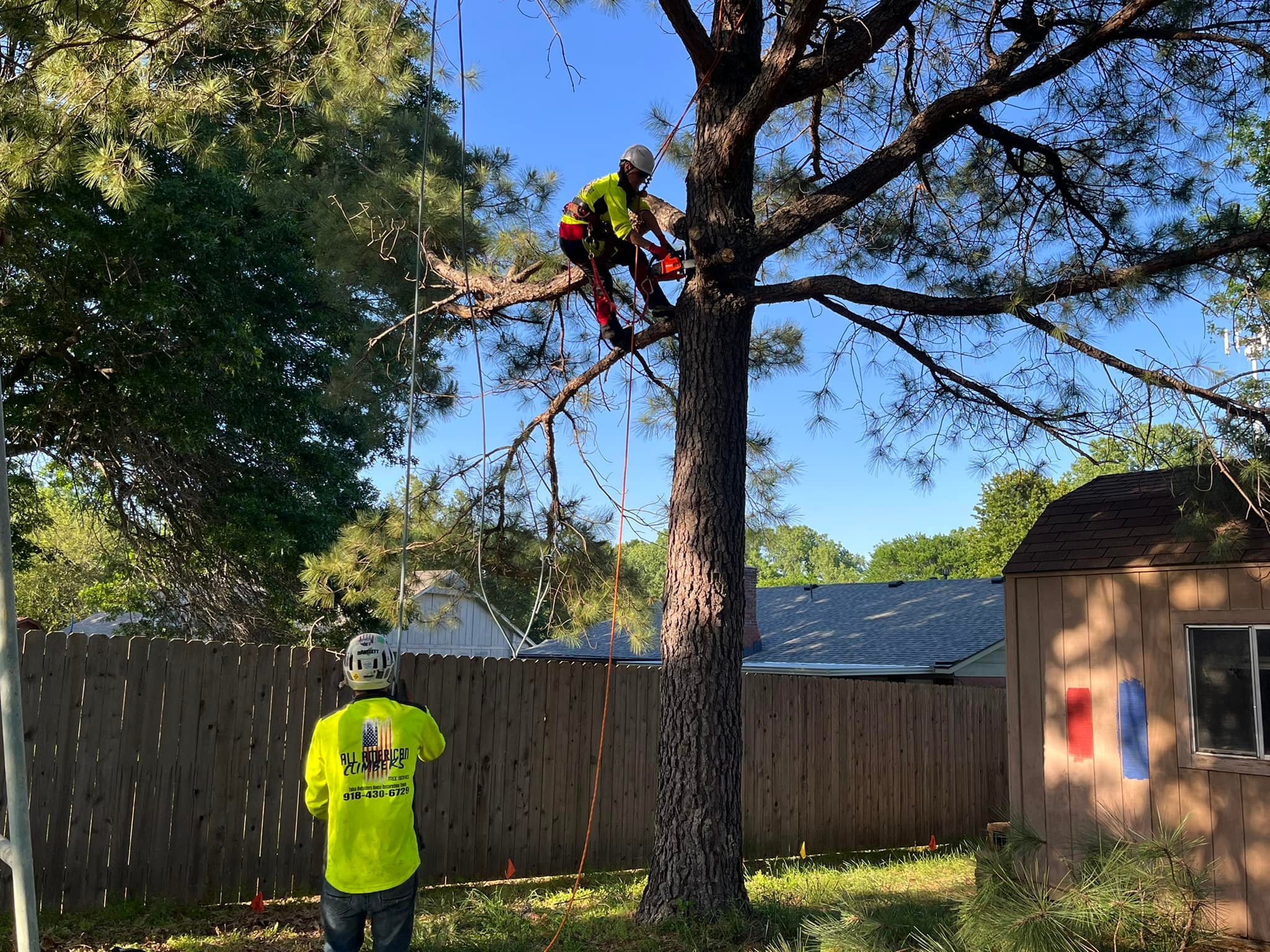 All American Climbers Tree Service
