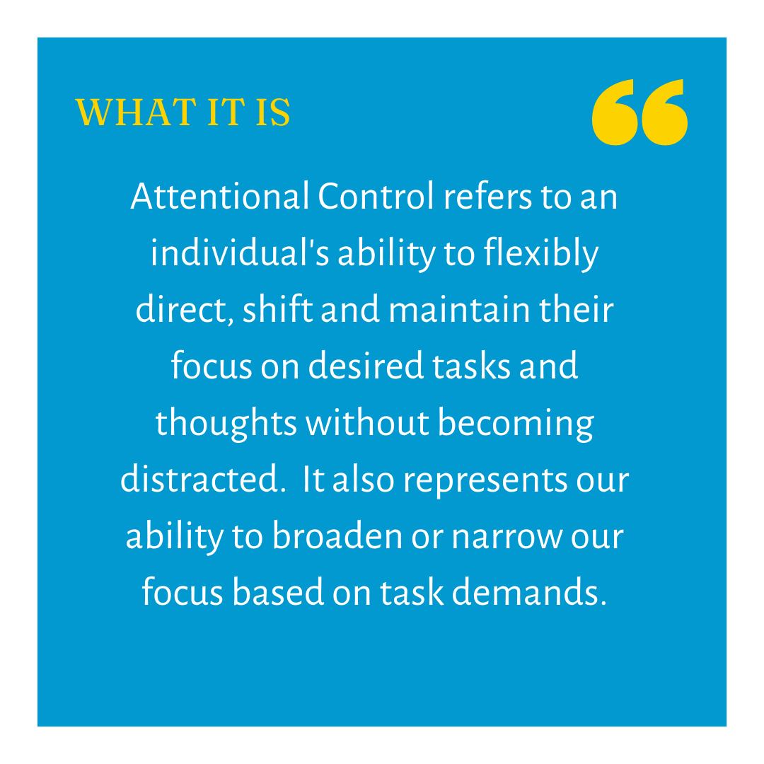 Dr Dylan Colbert - Performance & Sport Psychologist