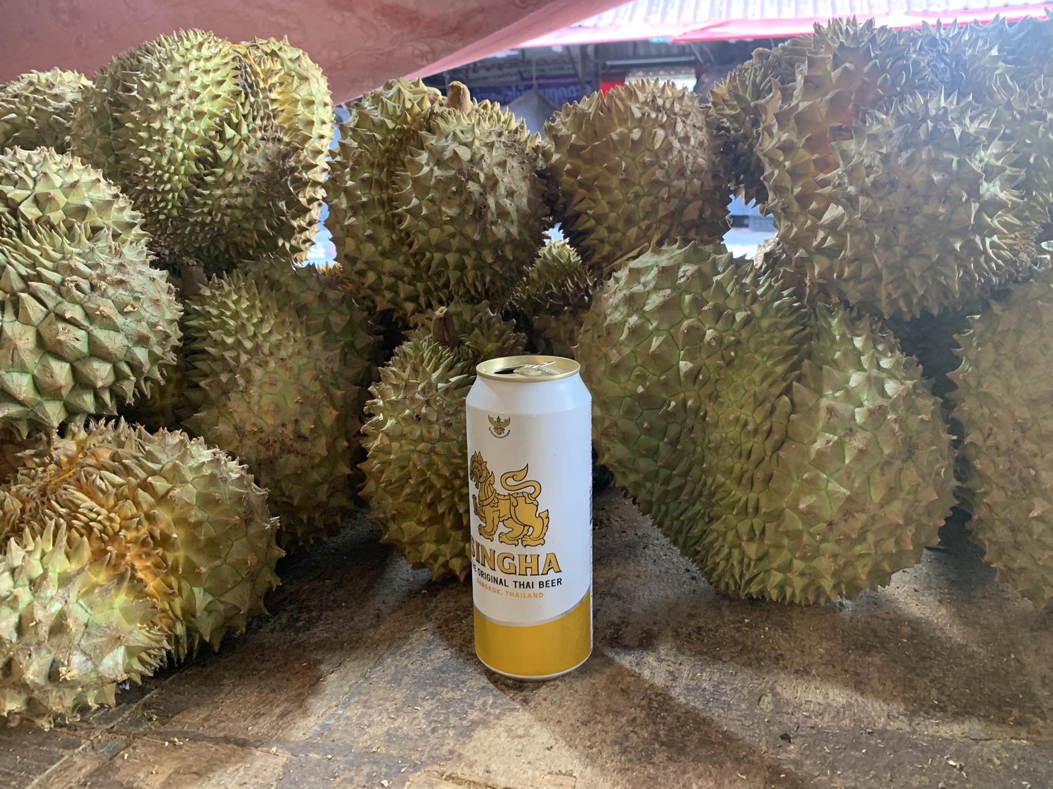 東東