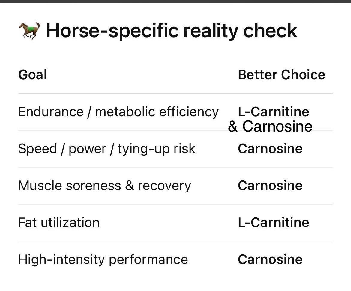 l carnitine vs carnosine difference between and l Swanson Vitamins L-Carnosine 500 mg Antioxidant Support Carnitine vs. Carnosine: What's the Carnosine versus carnitine | Carnomed