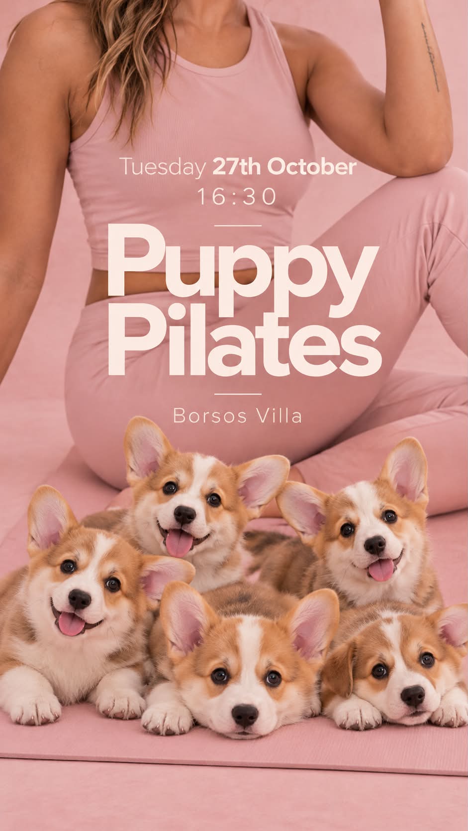 🦊 Puppy Pilates Corgi babákkal 🐾