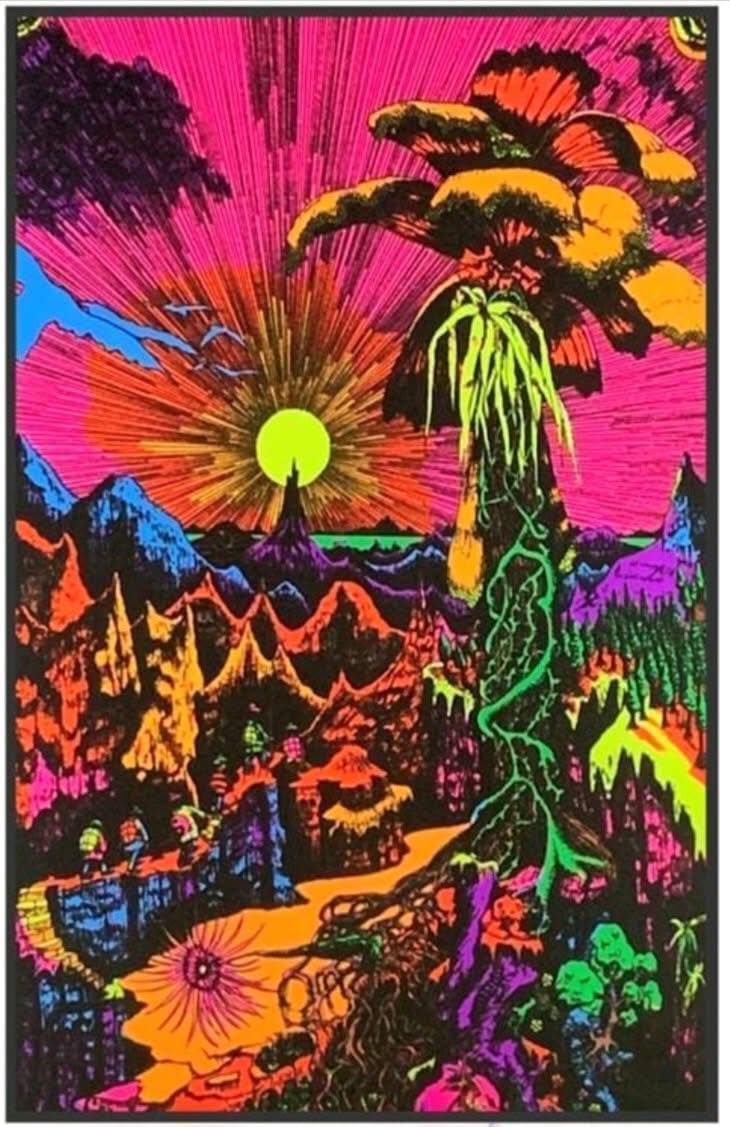 Always loved blacklight posters 😃🎆💡brand new!