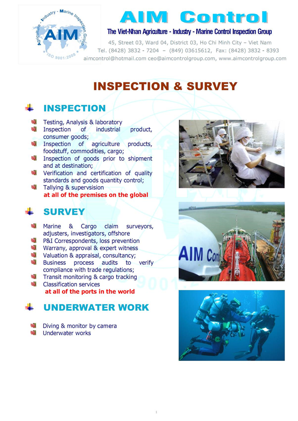 AIM Control Surveyors Inspection Group in Vietnam Global | Ho Chi Minh City