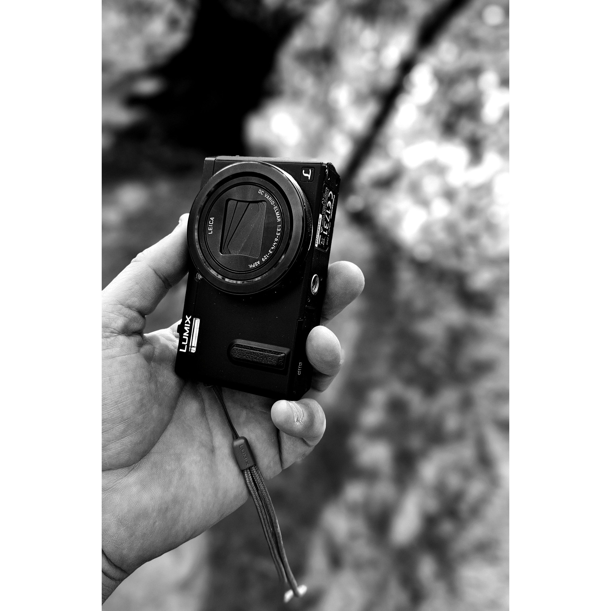 Panasonic LUMIX TZ60 Digital Camera