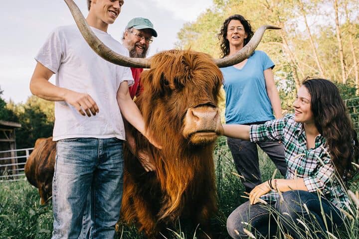 Wild Roots Farm | Livingston Manor NY