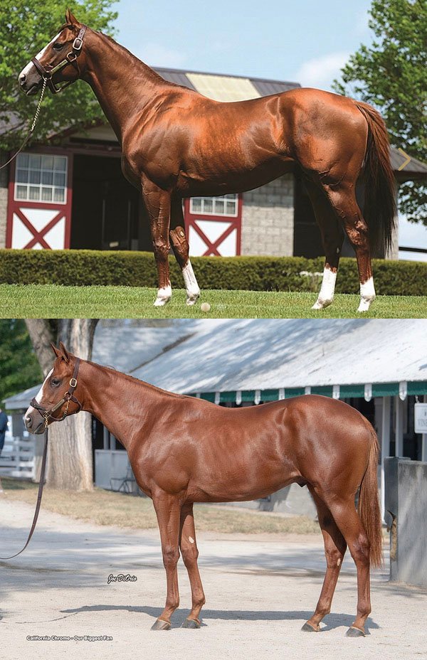 Our new Un-Named California... - Victory Racing Partners | Facebook