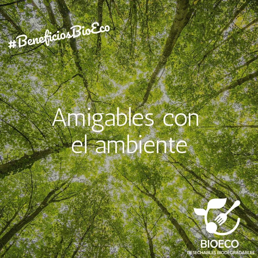 ¿Sabes cuáles son... - BioEco Desechables Biodegradables | Facebook