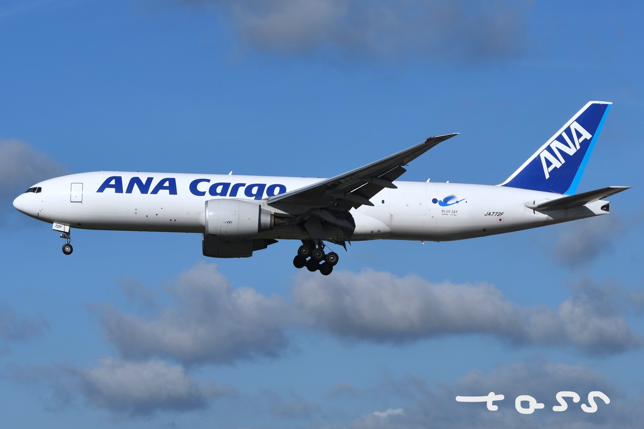ANA Cargo Blue Jay 777-200F taking off