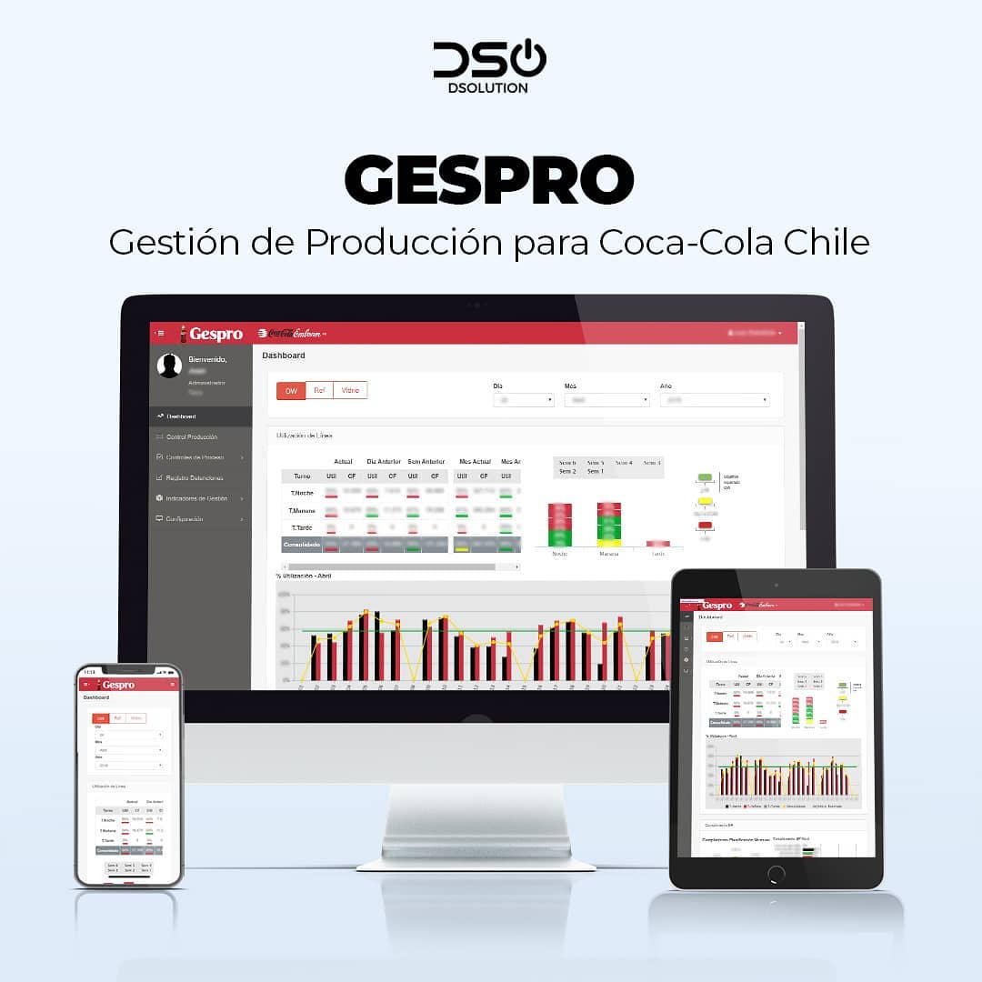 Dsolution - Desarrollo de Sistema de Gestión para el área...