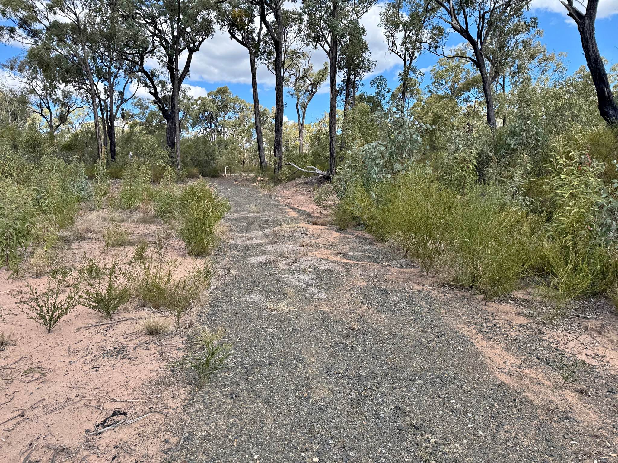 22 Acres bush block Forest Ridge Millmerran Qld - Property For Sale ...
