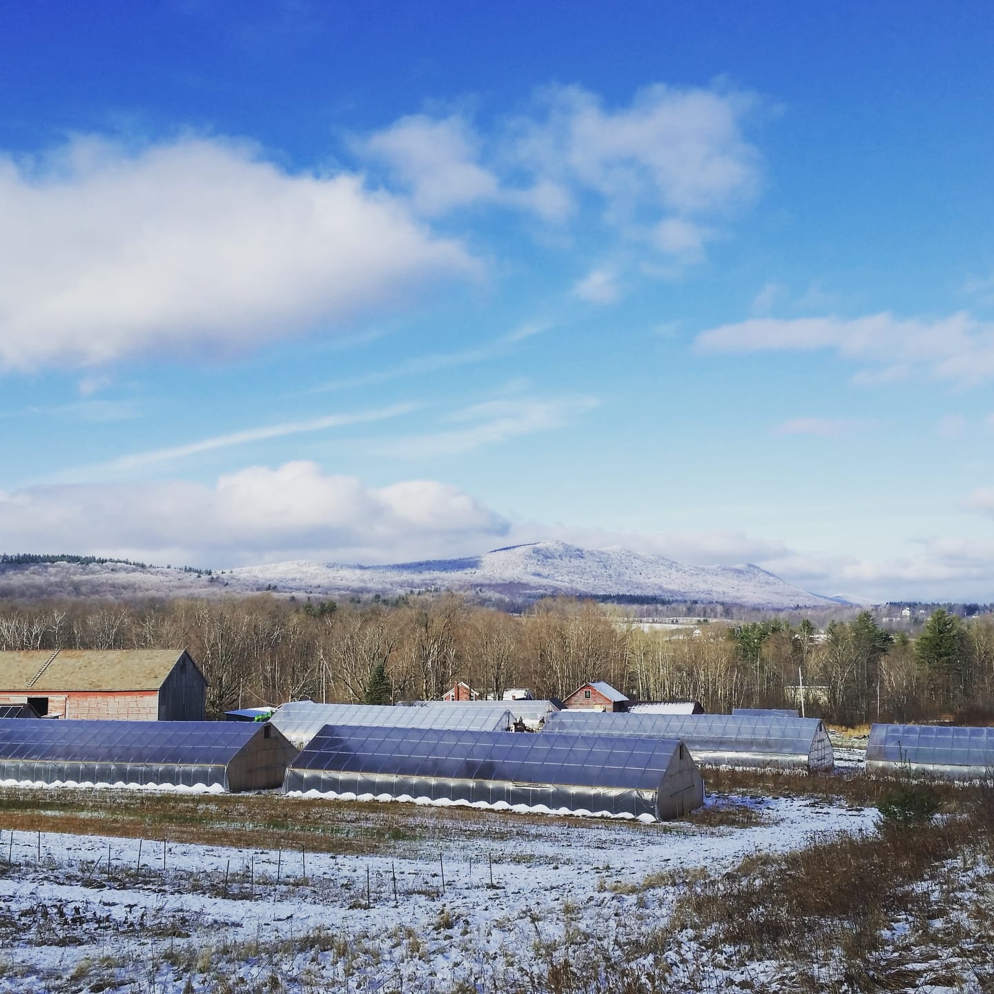 Yoder Farm - Do you see what I see? Six of our high...