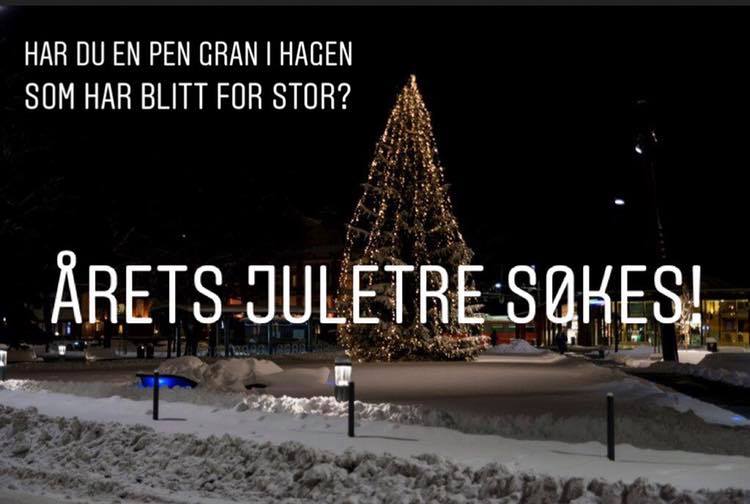 Gjøvik - Har du en pen gran i hagen som har blitt for stor? Kanskje den ...