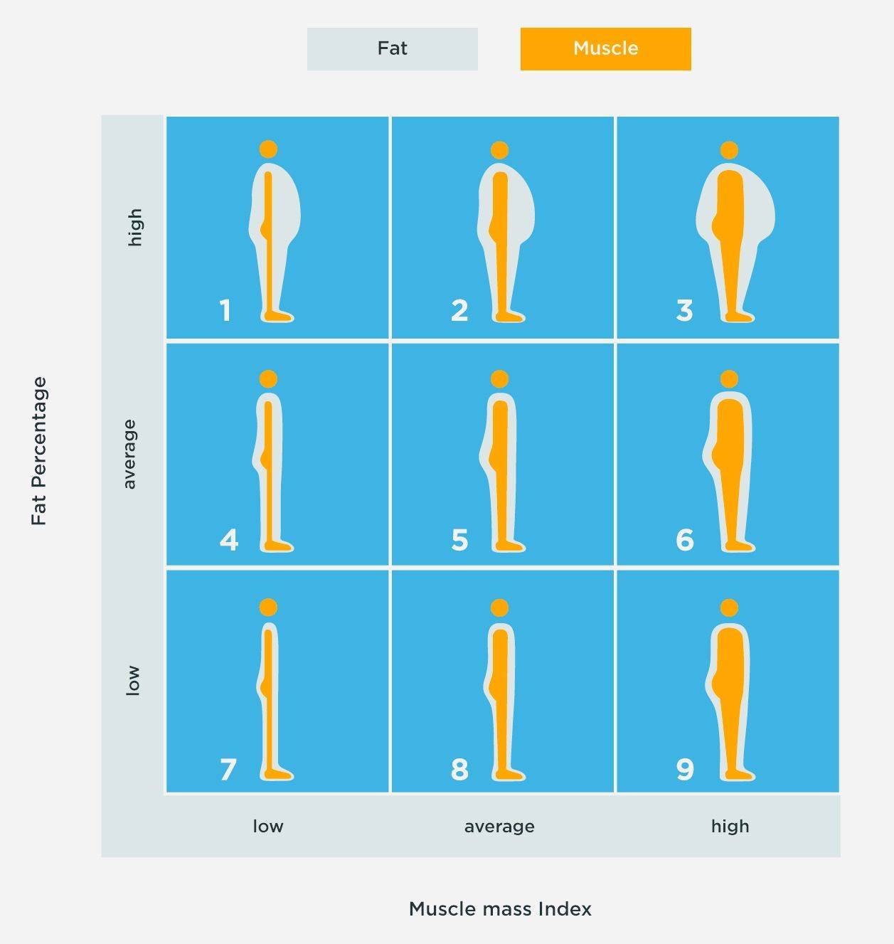 Beyond Aquatics - Our Body Composition Analysis reveals...