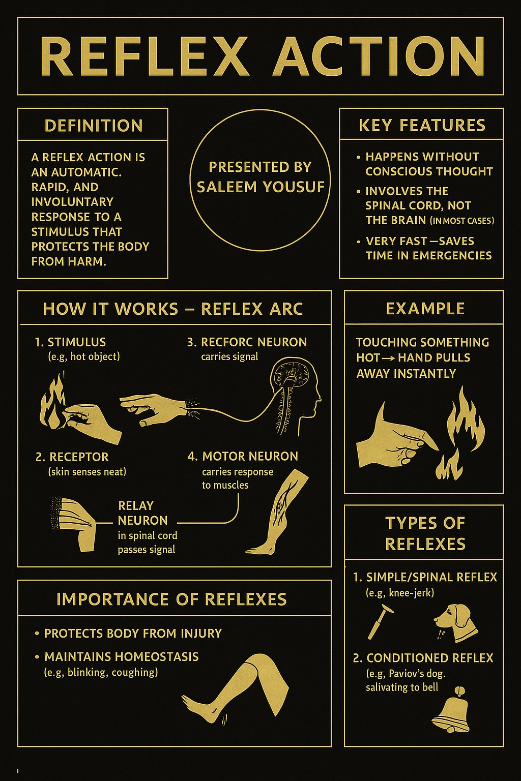 Human anatomy and physiology | Reflex Action: A Life-Saving Response ...