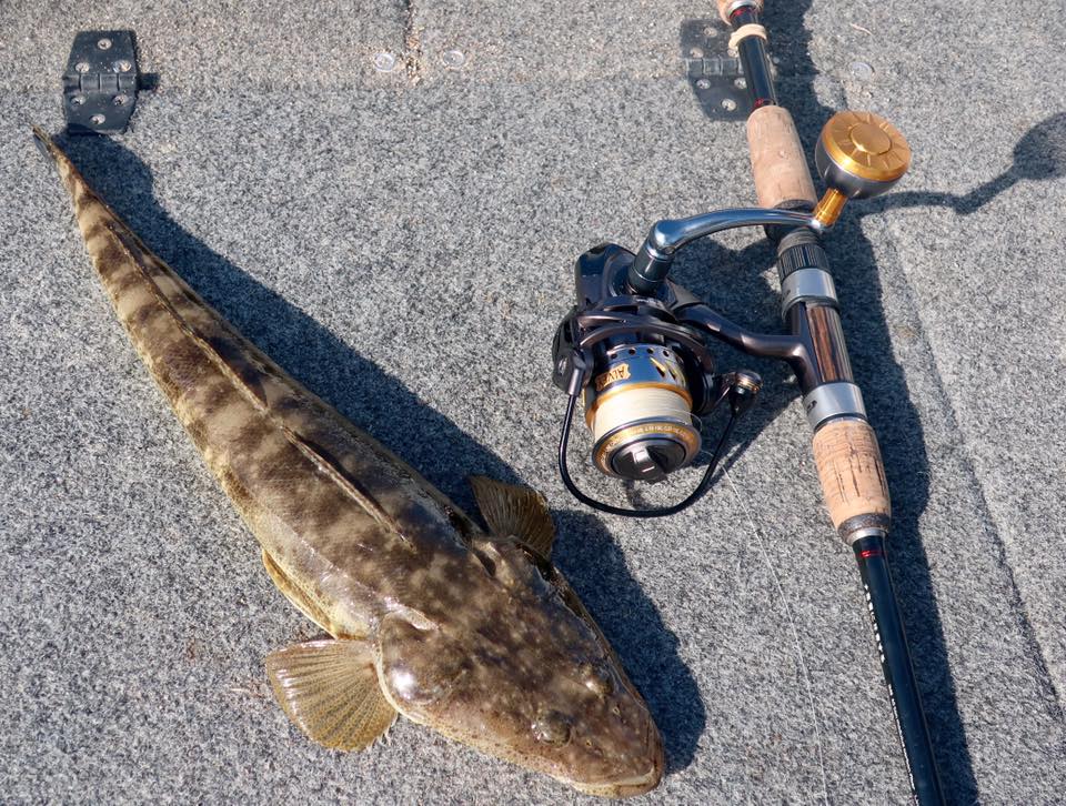chinese electric fishing reels Penn FTH30EL Fathom 30 Reel Pre-paid:6-Month This monster has a whopper plopper Daiwa 19 Castizm 25