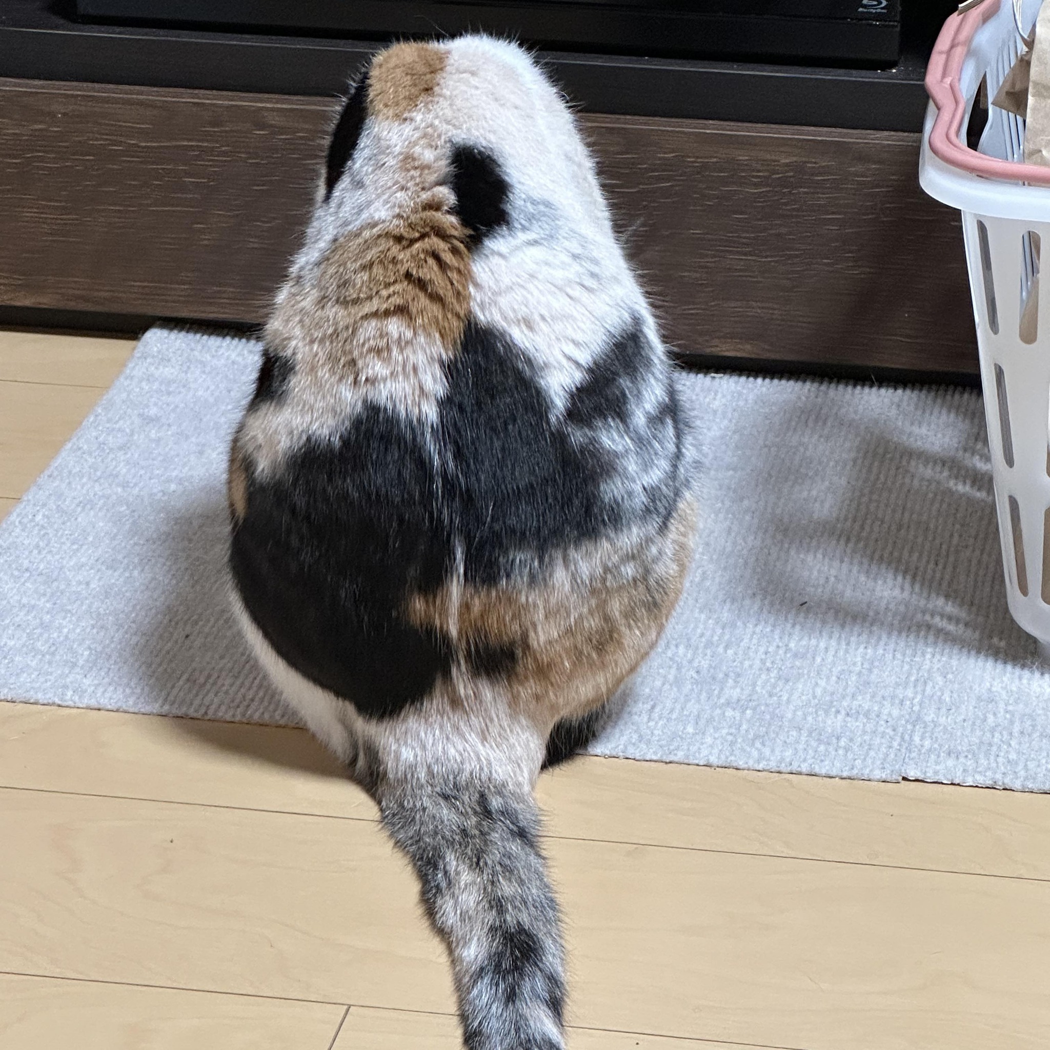 山形県を代表する石。 黒鴨石。完成まで2年掛かりました。