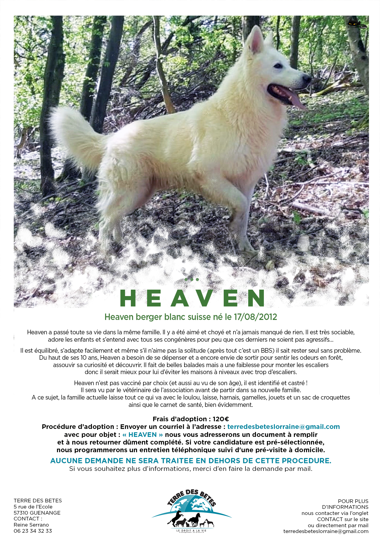 Spa Berger Blanc Suisse A Adopter