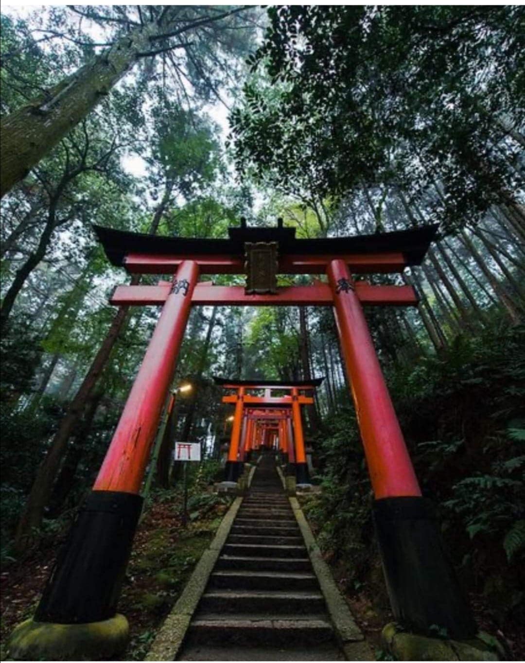 Traditional Japanese torii gate at a Shinto shrine