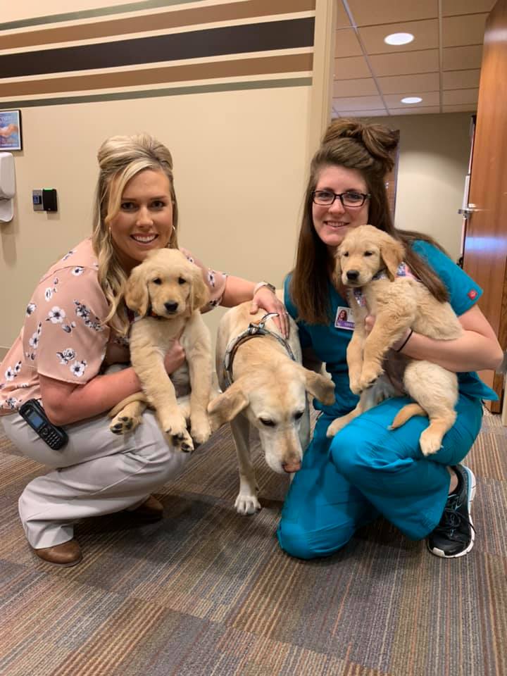 Welcome to two of our newest residents,... - Masonic Pathways | Facebook