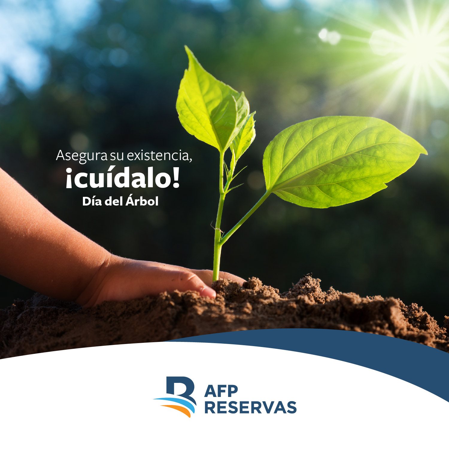 AFP Reservas RD - El mayor amor que podemos mostrar con nuestro entorno ...