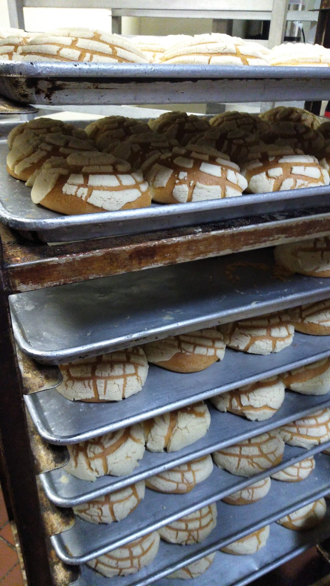 Pan Riko Bakery | Houston TX