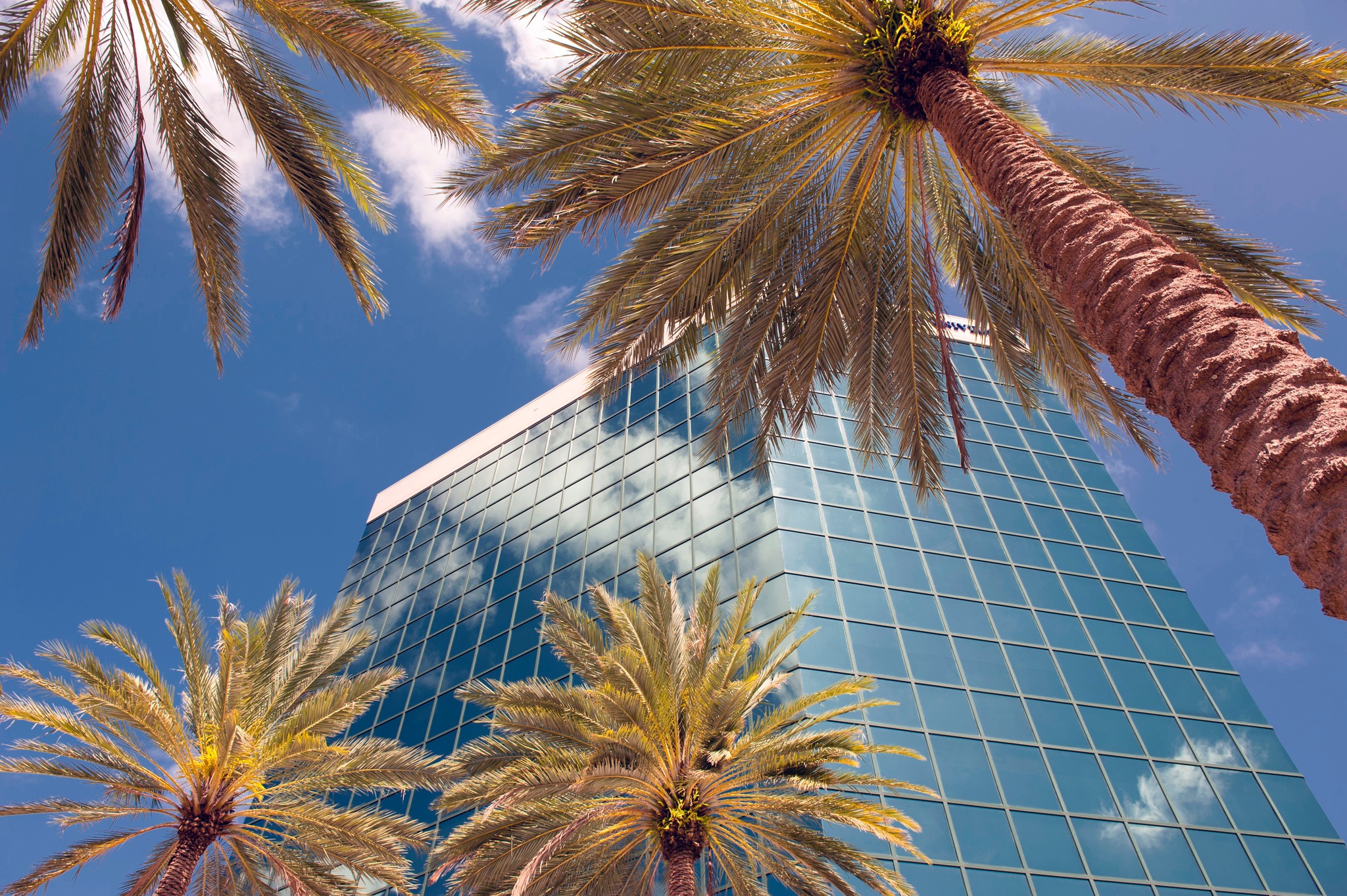 Quality Connections Networking Society | Fort Lauderdale FL