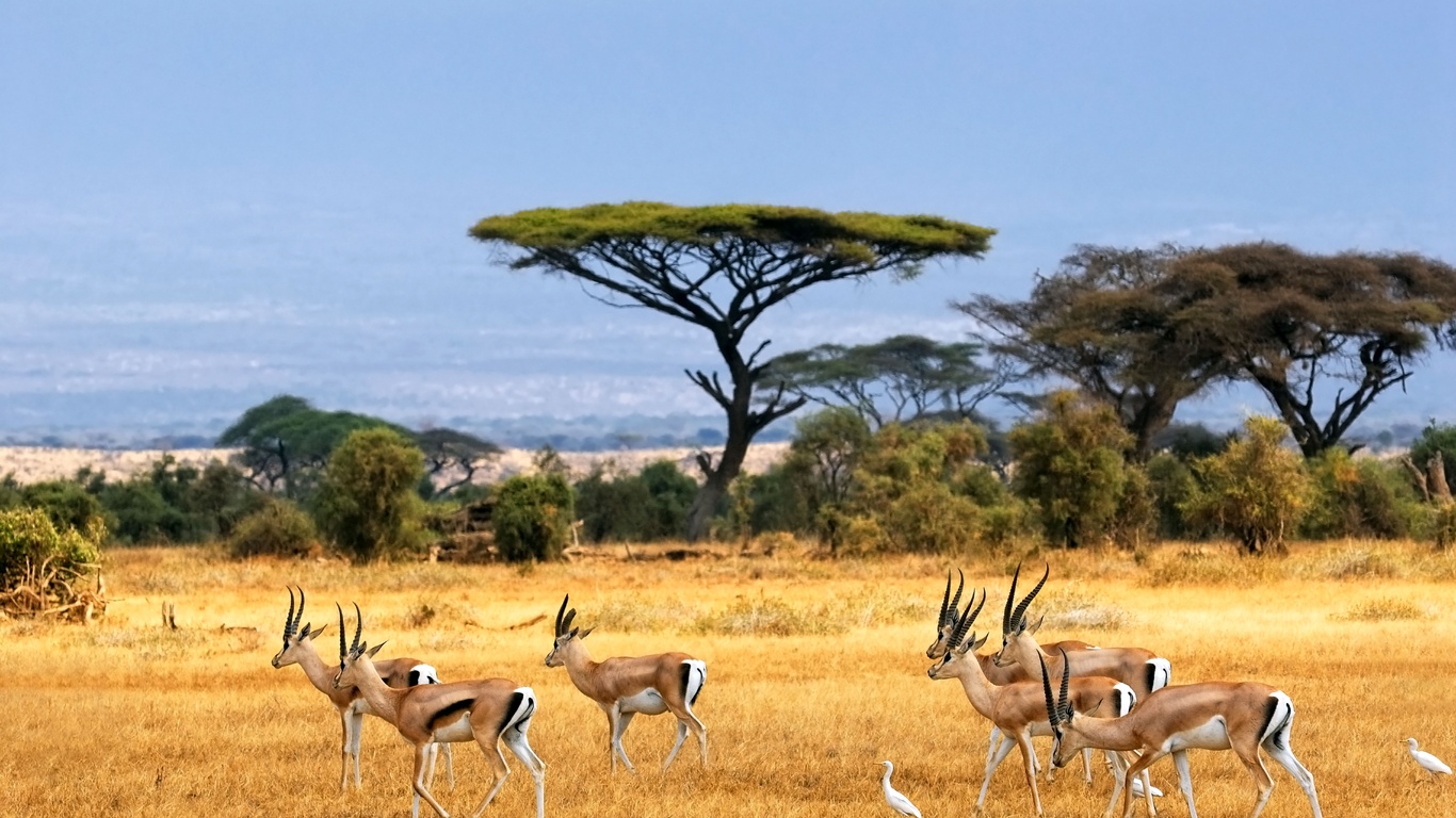 La Savane Africaine Photos Facebook