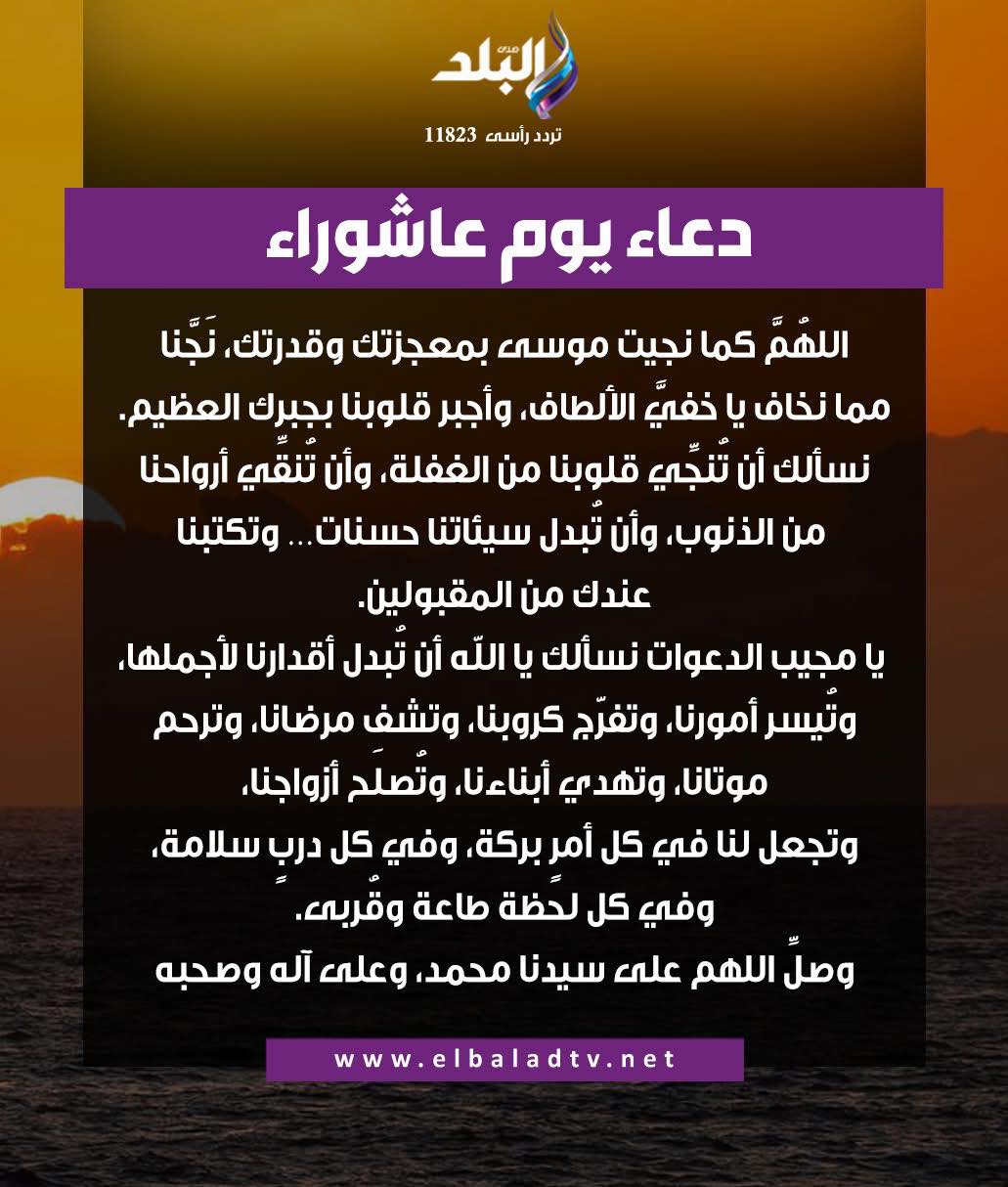 Omar Nasr