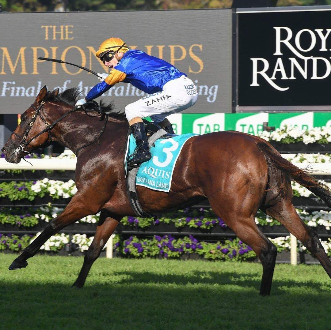 Racing.com - Have a look at this beast. Santa Ana Lane,...