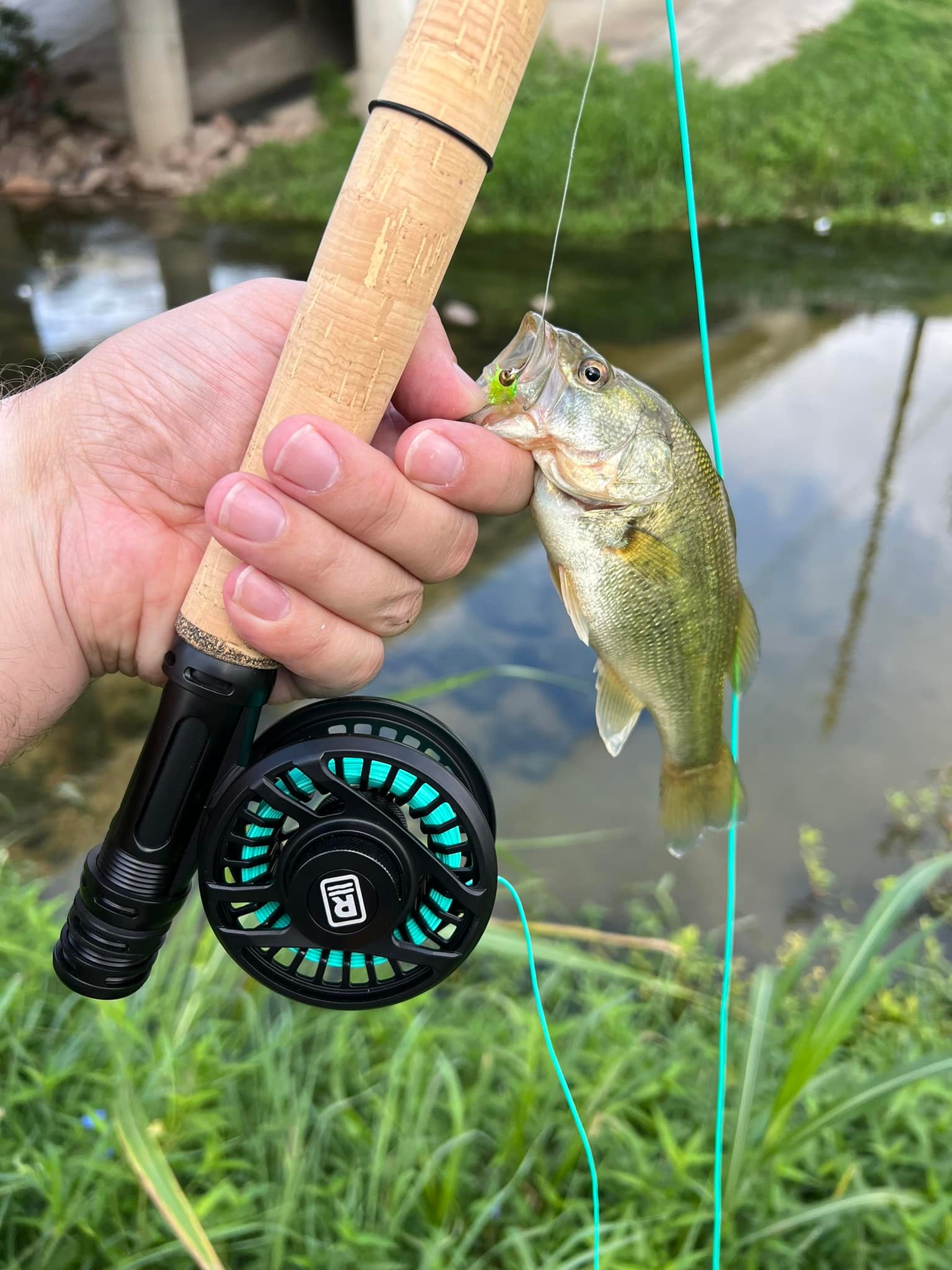 best surf fishing reel Dr.Fish ST 10000/12000 Full Metal MORE COOL FEATURES LEAD TO VICTORY Bass Fishing Best Trout Reel
