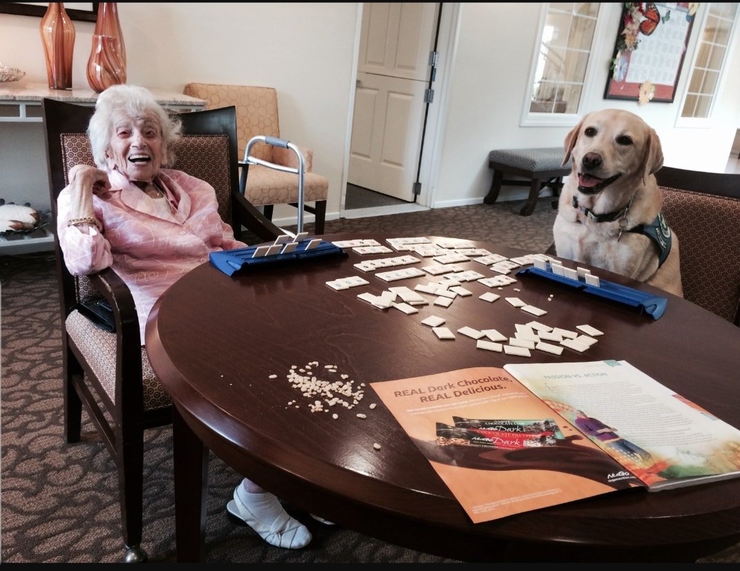Happy World Animal... - World Rummikub Championships - WRC