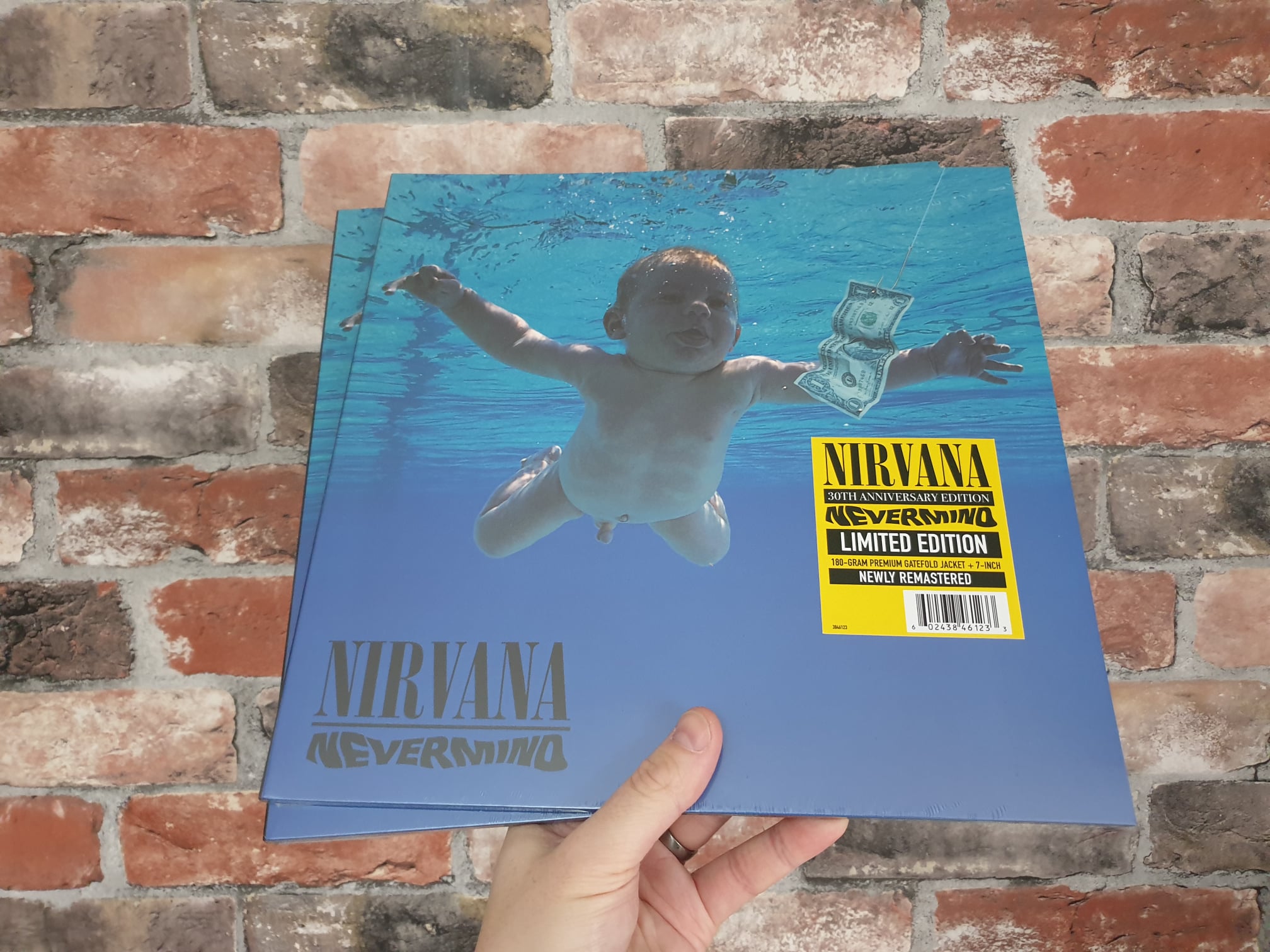Nirvana 30th Anniversary Edition NEVERMIND #Nirvana