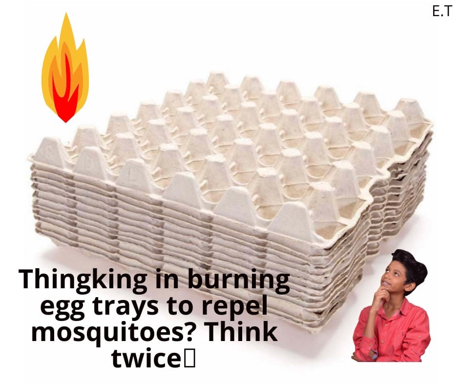 Burning a single mosquito coil is said to release smoke equal to inhaling  nearly 100 cigarettes. The PM2.5 particles fill the lungs with tar-like  residue and slowly harm the respiratory system. People