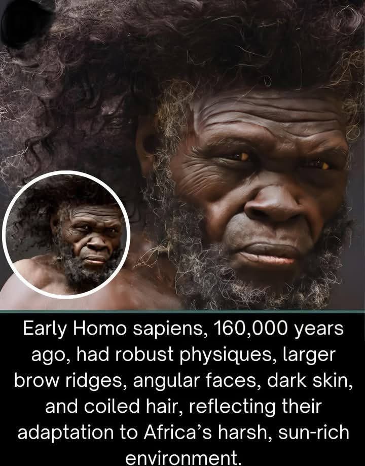 History World History | Facebook