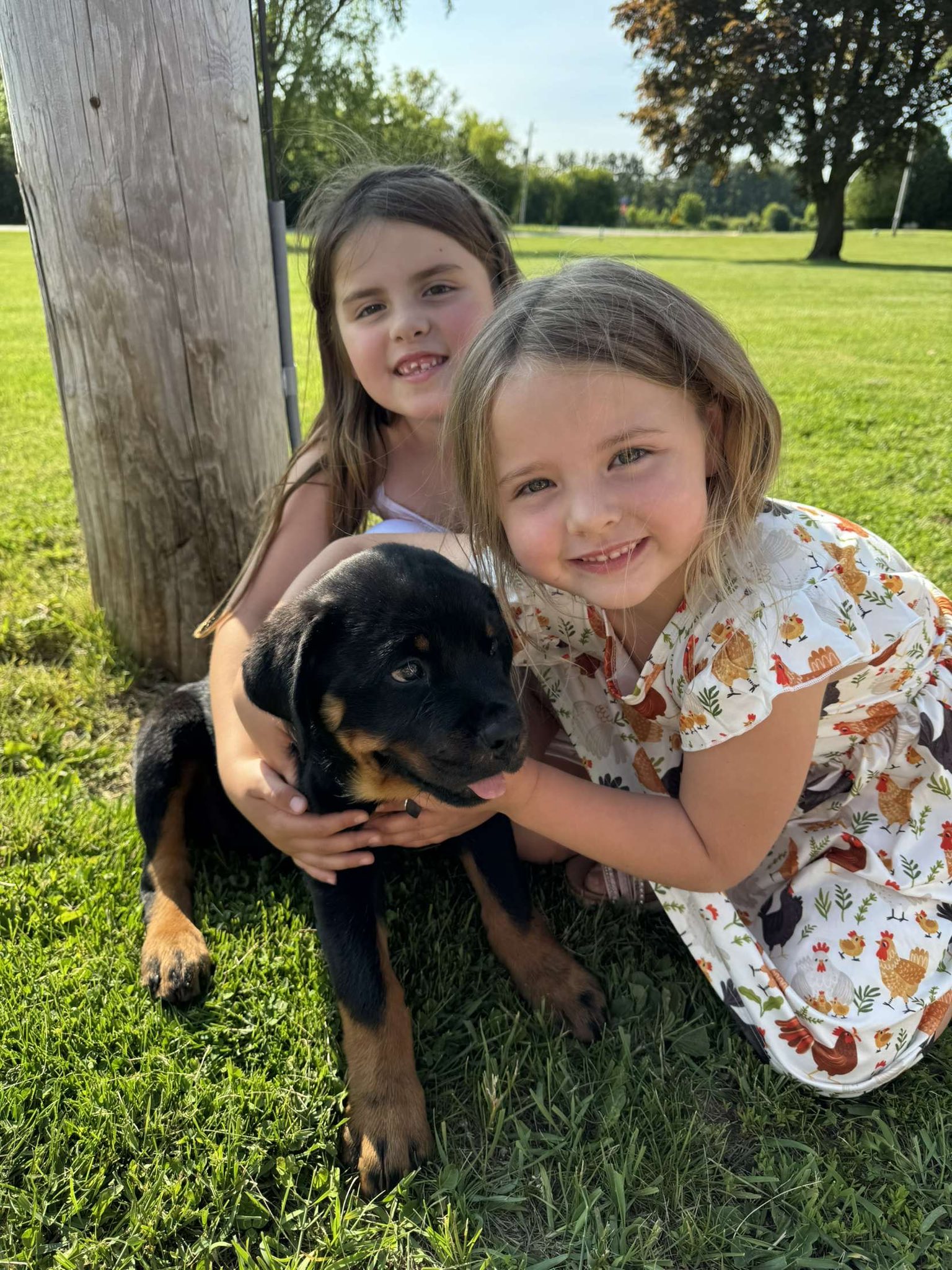 County K Rottweilers