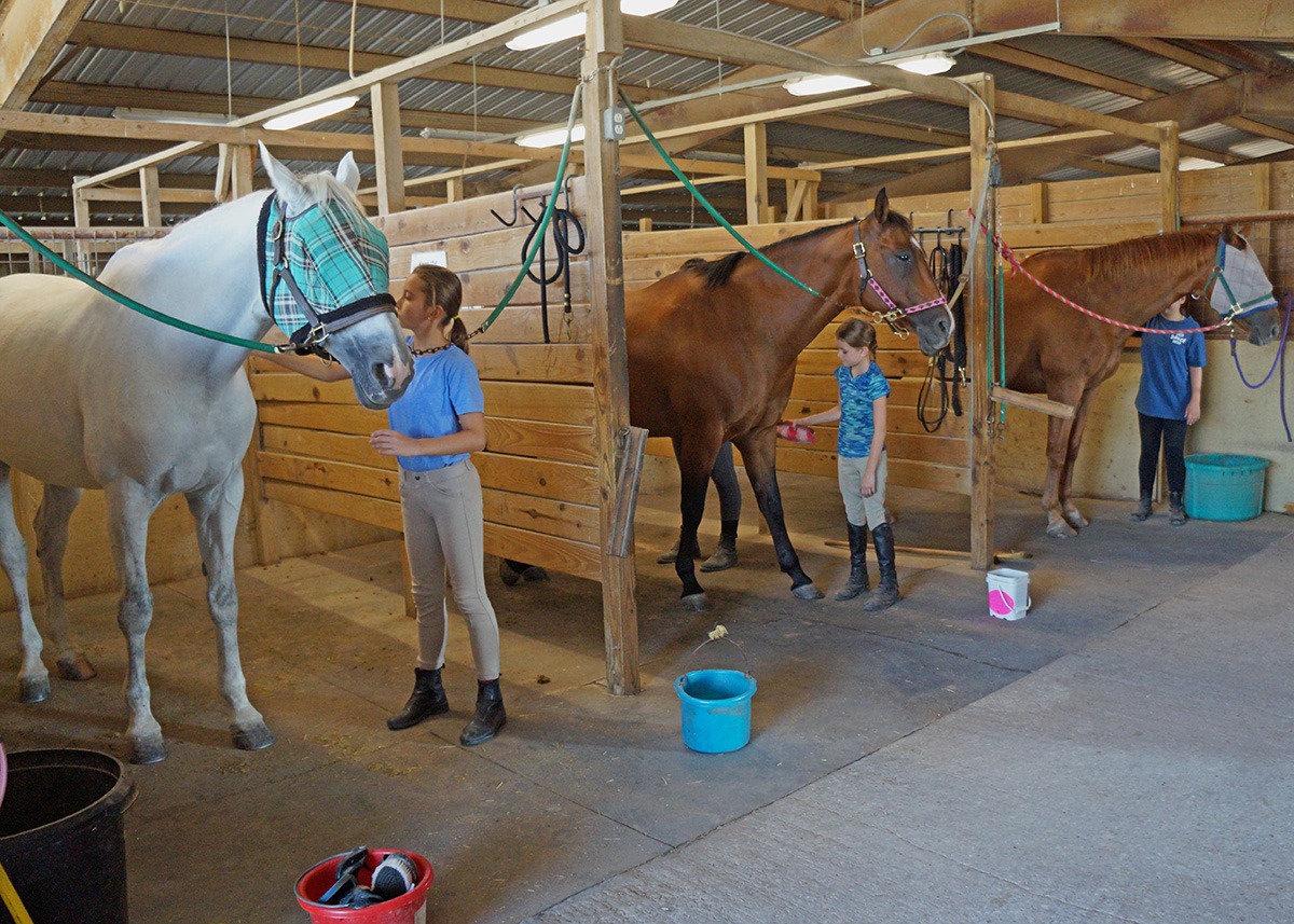 Manor Equestrian Center | Manor TX