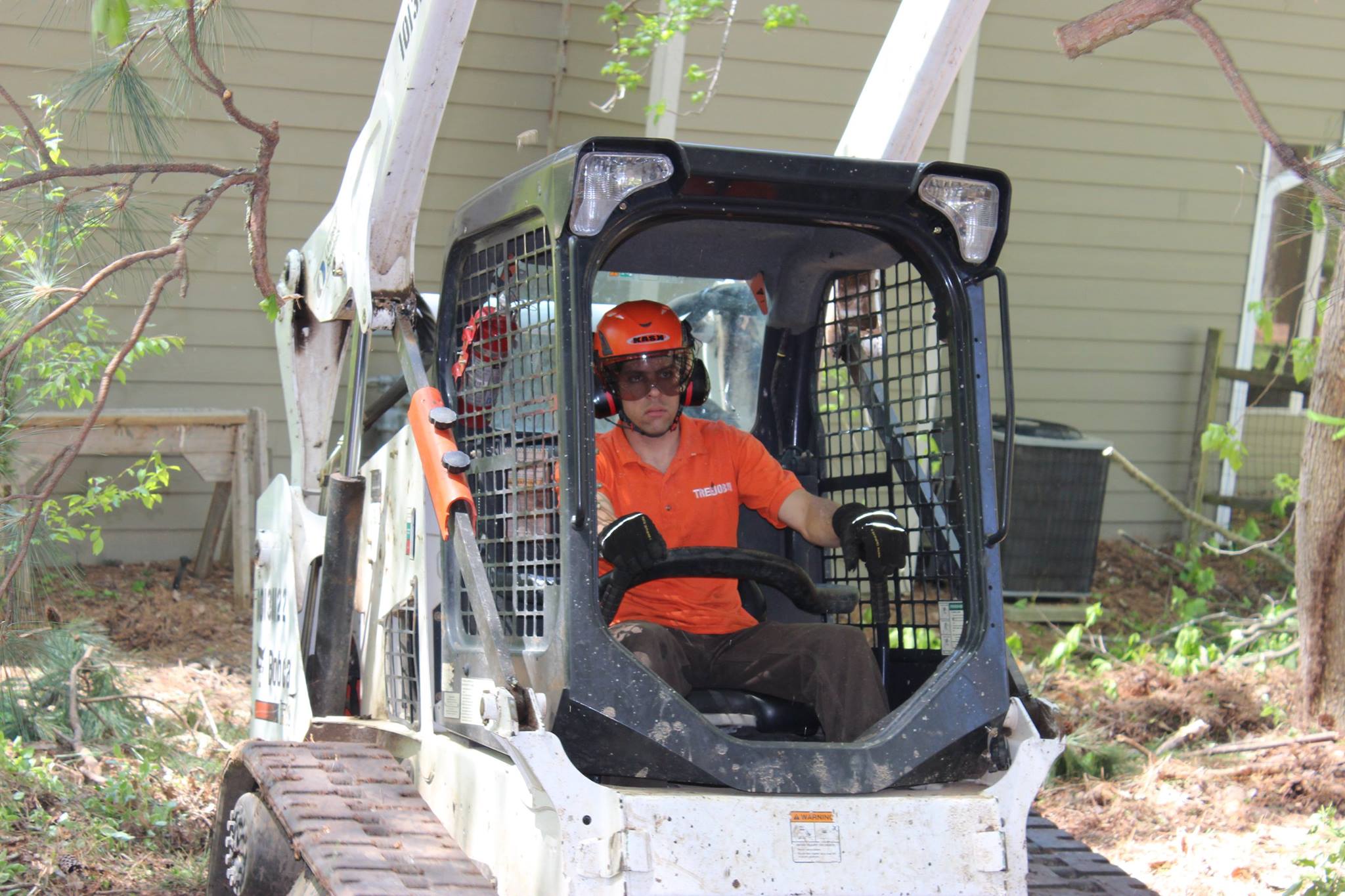 Atlanta Tree Removal Experts | Atlanta GA
