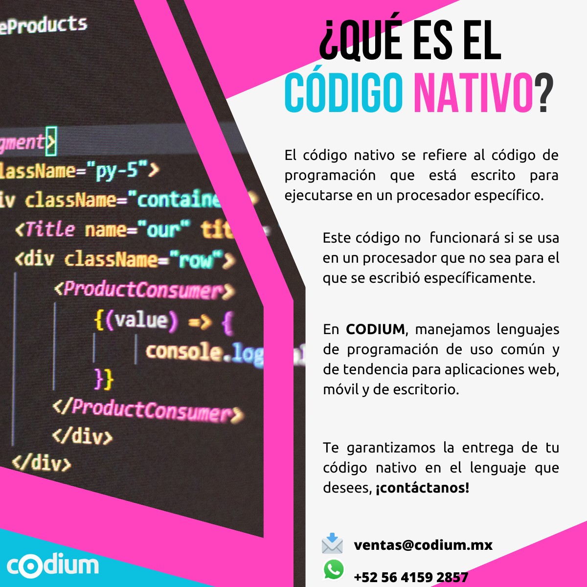 Codium - ¿Sabes que es el código nativo? 🤔 En Codium, manejamos ...