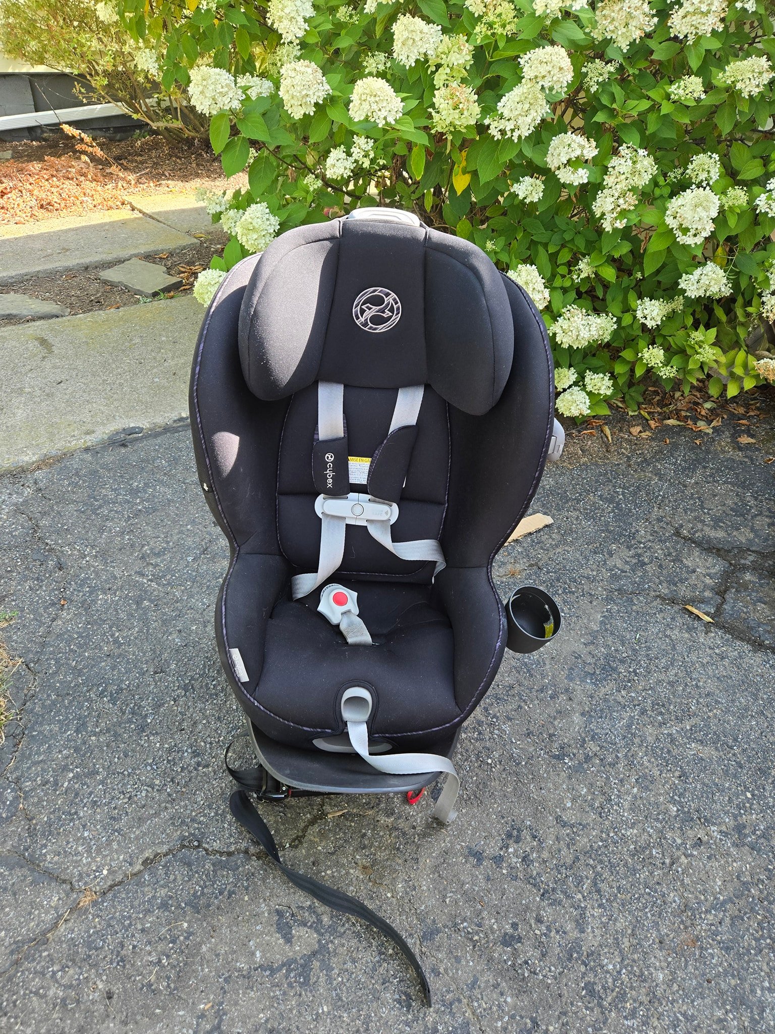 jogging stroller travel system graco gap-bassinets-play-yards Size:10' X 12' Bed Bug Heat Treatment comfortable ride for baby