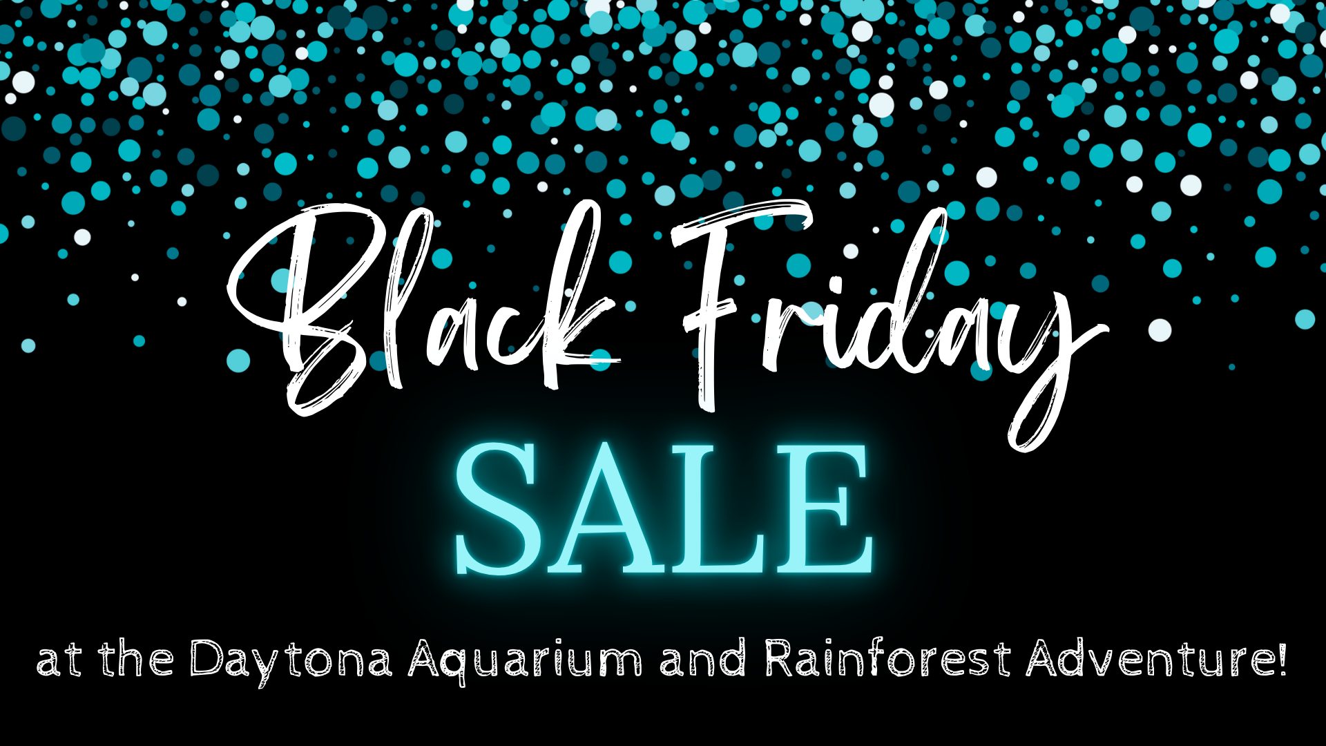 Black Friday Deals at the Daytona Aquarium and Rainforest Adventure!