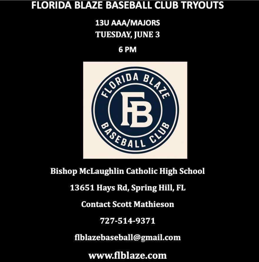 Affordable travel baseball team seeking players for developmental